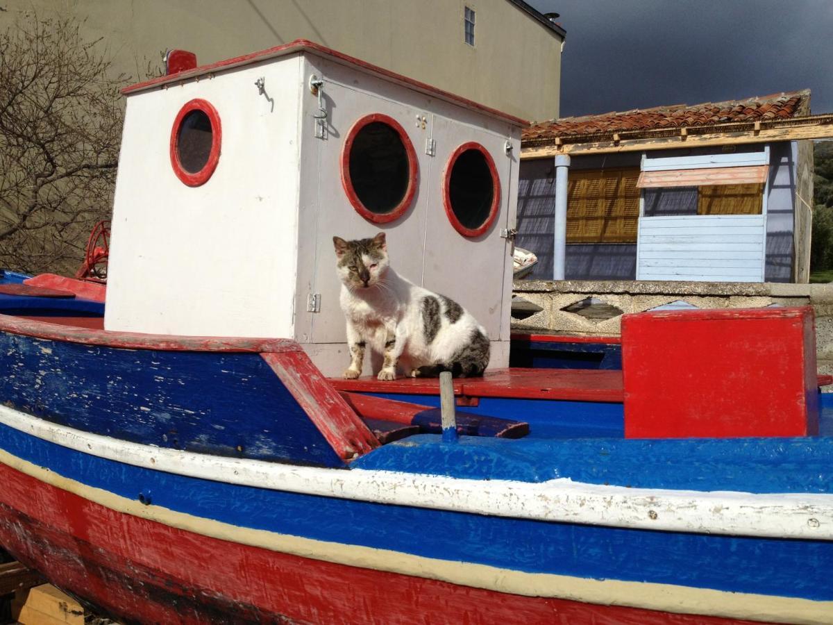 Jimmy'S Place Ormos (Samos) Exterior foto